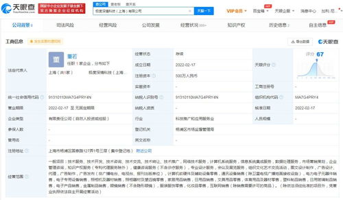 信息系統(tǒng)集成服務(wù) 數(shù)字化轉(zhuǎn)型的關(guān)鍵驅(qū)動(dòng)力